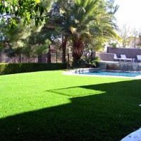 Synthetic Lawn Madison, California Landscape Photos, Kids Swimming Pools