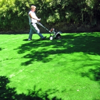 Synthetic Turf Boulder Creek, California Landscape Photos, Backyard Makeover