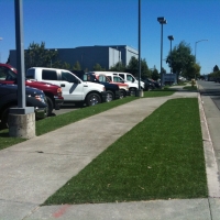 Synthetic Turf Castro Valley, California Roof Top, Commercial Landscape