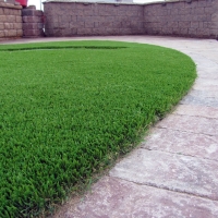 Synthetic Turf Supplier Campbell, California Dogs, Landscaping Ideas For Front Yard