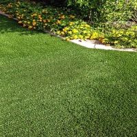 Synthetic Turf Supplier Courtland, California Lawn And Garden, Landscaping Ideas For Front Yard