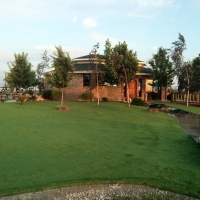 Synthetic Turf Supplier Waldon, California Backyard Playground, Commercial Landscape