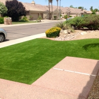 Turf Grass Milpitas, California Lawn And Landscape, Front Yard Design