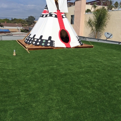 Artificial Grass Bonny Doon, California City Landscape, Roof Top