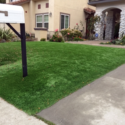 Artificial Grass Installation Tiburon, California Roof Top, Front Yard Landscaping