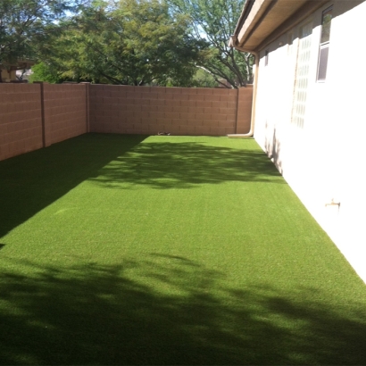 Artificial Grass Oakville, California Landscape Ideas, Backyards