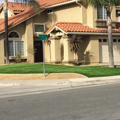 Artificial Grass San Carlos, California Rooftop, Front Yard Landscape Ideas