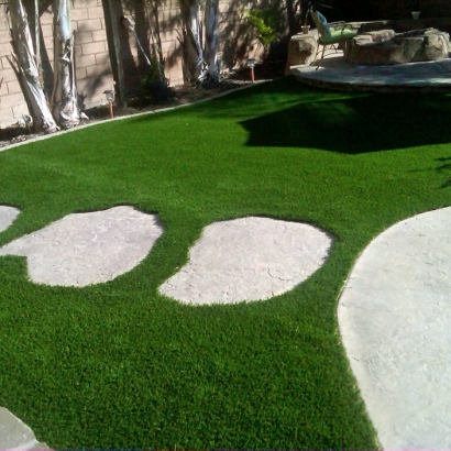 Artificial Grass South San Francisco, California Landscape Rock, Backyard Landscaping