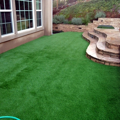 Artificial Lawn American Canyon, California Backyard Playground, Small Backyard Ideas