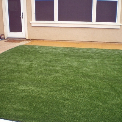 Artificial Lawn Berkeley, California Home And Garden, Backyard Ideas