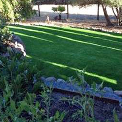 Artificial Lawn East Richmond Heights, California Landscape Ideas, Backyard Ideas