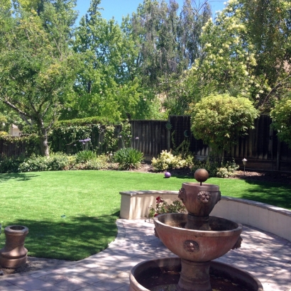 Artificial Lawn Pacheco, California Landscape Rock, Backyard Ideas