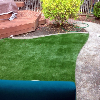 Artificial Lawn Shackelford, California Design Ideas, Small Backyard Ideas