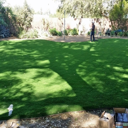 Artificial Lawn Vine Hill, California Landscape Photos, Backyard Garden Ideas