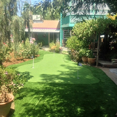 Artificial Turf Cost Capitola, California Landscaping