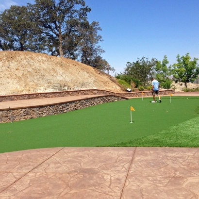 Artificial Turf Cost Muir Beach, California Design Ideas, Backyard Design