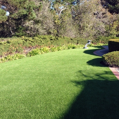 Artificial Turf Installation Monte Rio, California Design Ideas, Small Front Yard Landscaping