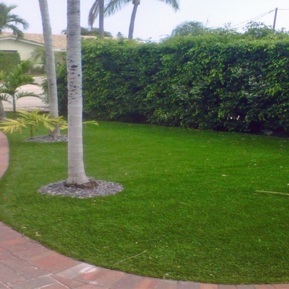 Artificial Turf Windsor, California Rooftop, Small Front Yard Landscaping