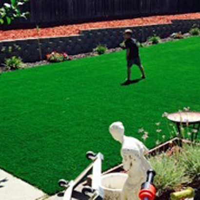 Best Artificial Grass Alto, California Landscaping Business, Backyards