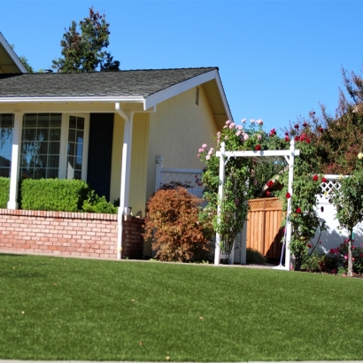 Best Artificial Grass Danville, California Gardeners, Front Yard Landscape Ideas