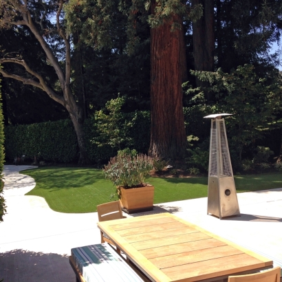 Best Artificial Grass Los Gatos, California Home And Garden, Backyard