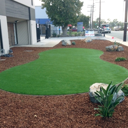 Best Artificial Grass Salida, California Lawn And Garden, Commercial Landscape