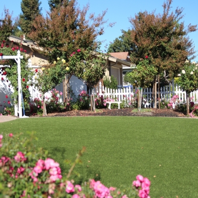 Best Artificial Grass Tracy, California Landscape Rock, Front Yard Landscaping Ideas