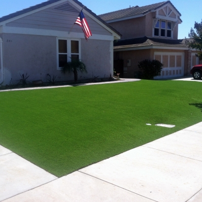 Fake Grass Carpet Ben Lomond, California Design Ideas, Landscaping Ideas For Front Yard