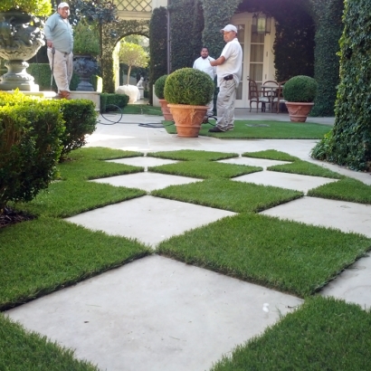 Fake Grass Carpet Collierville, California Landscaping Business, Pavers