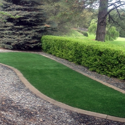 Fake Grass Carpet Davis, California Backyard Playground