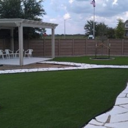 Fake Grass Carpet Fremont, California Landscape Photos, Backyard Designs