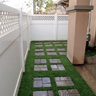 Fake Grass Carpet Novato, California Lawns, Backyard Designs