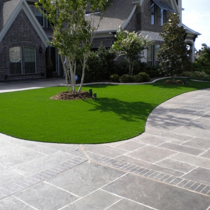 Fake Grass Carpet San Rafael, California Landscaping Business, Front Yard Landscaping Ideas