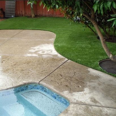 Fake Grass Ladera, California Lawn And Garden, Kids Swimming Pools