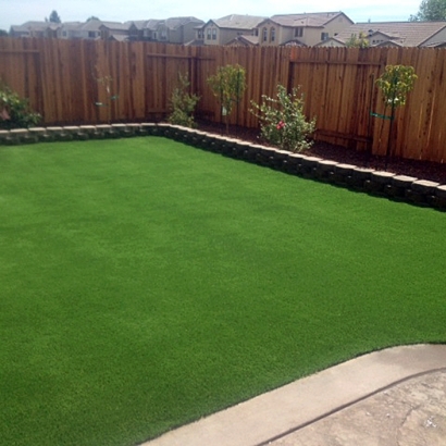 Fake Grass Twin Lakes, California Lawn And Garden, Backyard Landscape Ideas