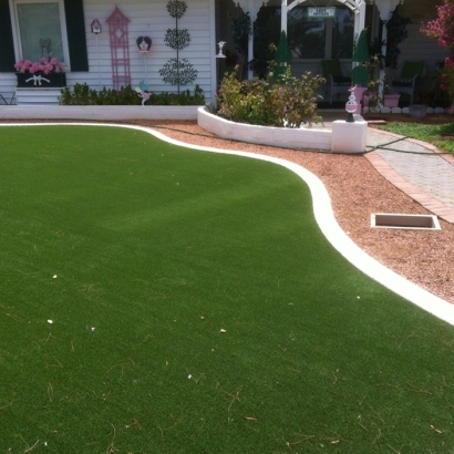 Fake Lawn Black Point-Green Point, California City Landscape, Small Front Yard Landscaping