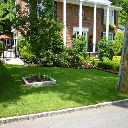 Fake Lawn Clarksburg, California Backyard Playground, Front Yard Design