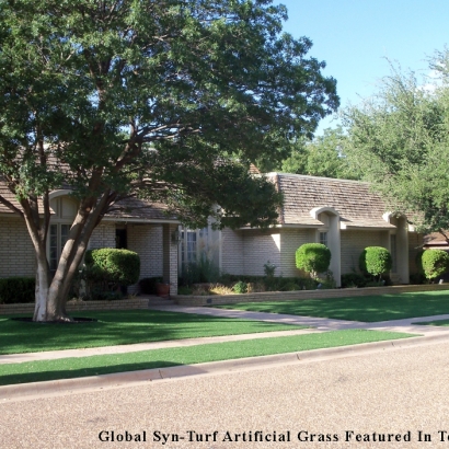 Fake Turf Alto, California Landscape Design, Front Yard Landscaping