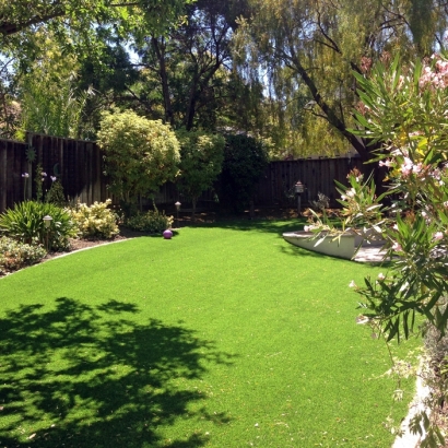 Fake Turf Diablo, California Home And Garden, Small Backyard Ideas