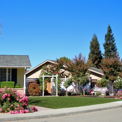 Fake Turf Eldridge, California Paver Patio, Front Yard Design