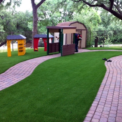 Fake Turf Palo Alto, California Design Ideas, Commercial Landscape