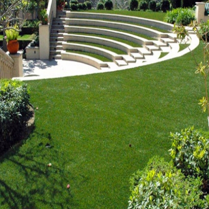 Faux Grass Franklin, California Design Ideas