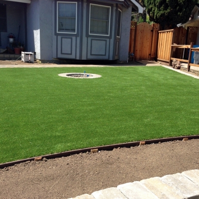 Faux Grass Fulton, California Backyard Deck Ideas, Landscaping Ideas For Front Yard