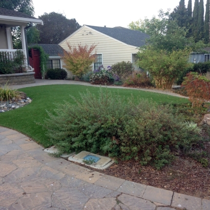 Faux Grass Guerneville, California Landscape Photos, Front Yard Landscaping