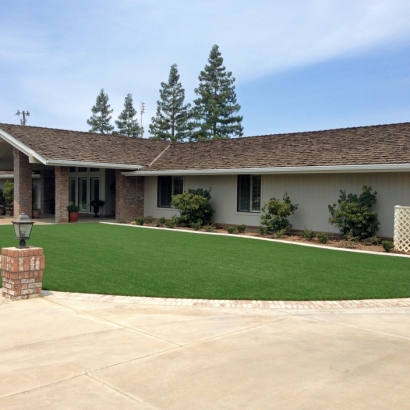 Faux Grass Los Gatos, California Landscaping, Front Yard Landscaping Ideas