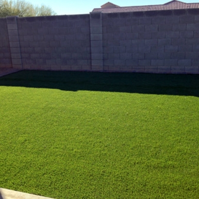 Faux Grass Ross, California Backyard Playground, Backyard Landscaping