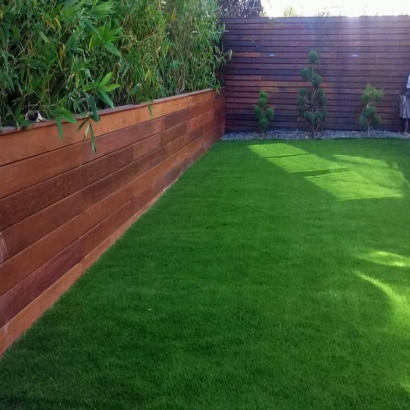 Grass Carpet August, California Home And Garden, Backyard Landscaping