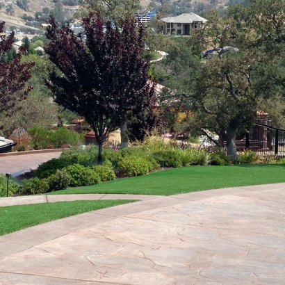 Grass Carpet Cupertino, California Roof Top, Front Yard Ideas