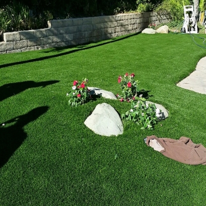 Grass Carpet Port Costa, California Landscape Rock, Front Yard Landscaping Ideas