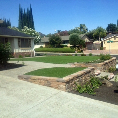 Grass Carpet Scotts Valley, California Landscaping Business, Front Yard Ideas